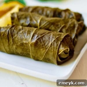 Effortless Homemade Dolma 9 Vibrant vegetarian stuffed grape leaves, ready to be served, showcasing their delicious filling and perfect roll.
