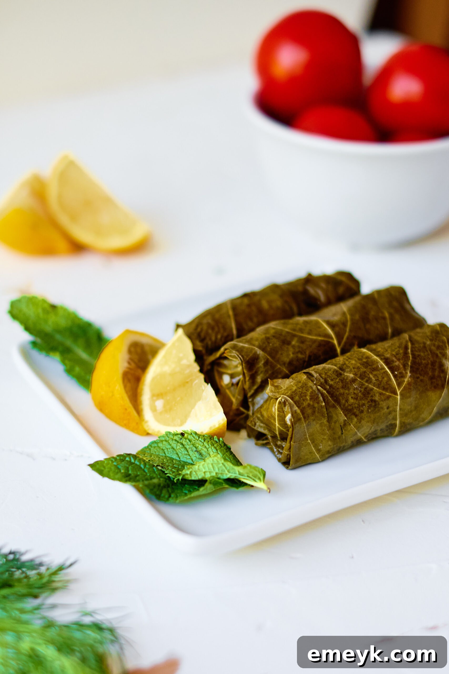 Effortless Homemade Dolma 7 Platter of freshly cooked stuffed grape leaves garnished with mint leaves, ready to be served.