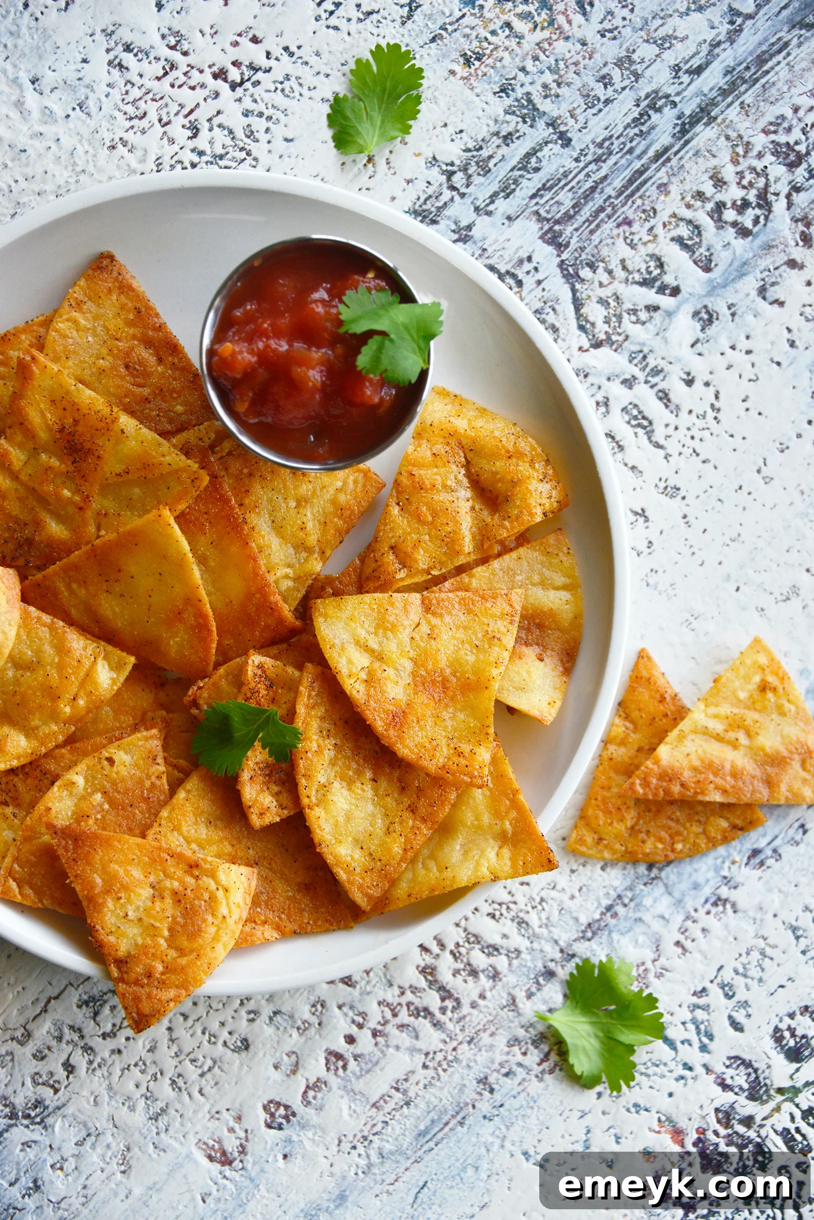 Crispy homemade baked tortilla chips served alongside vibrant red salsa and fresh cilantro, highlighting their appetizing appeal.