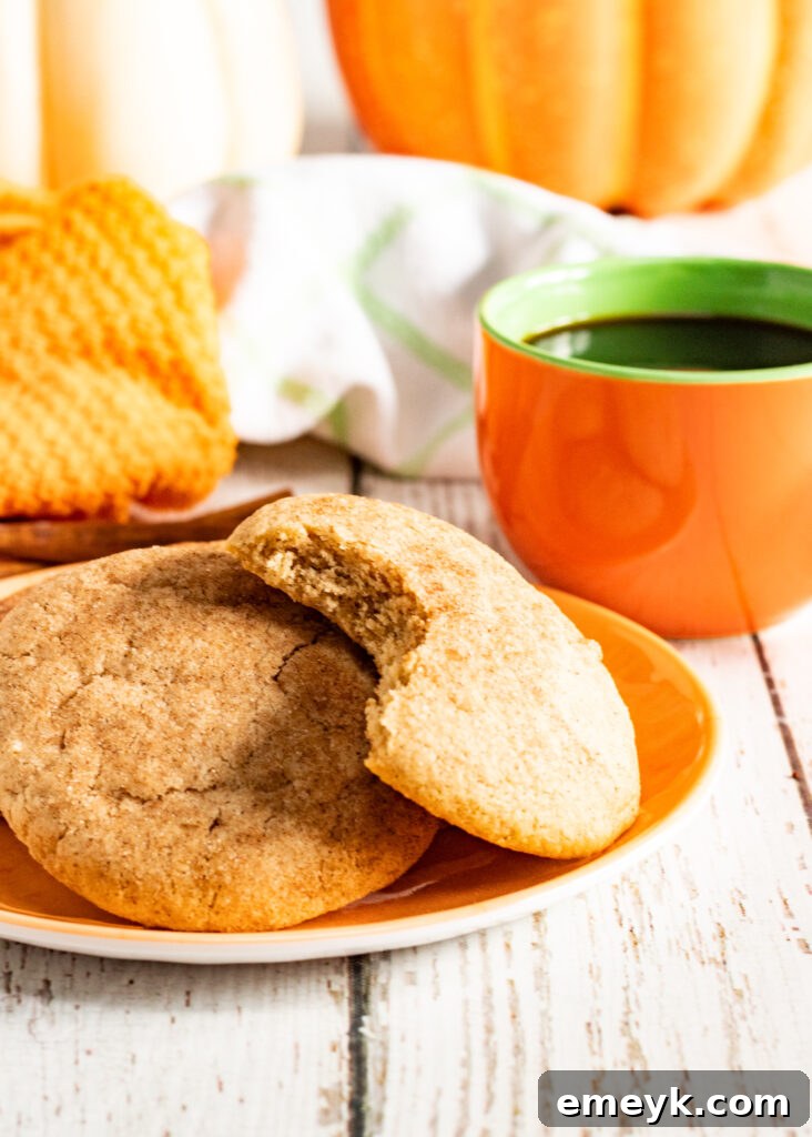 Pumpkin Snickerdoodles beautifully arranged on an orange plate, ready to be served