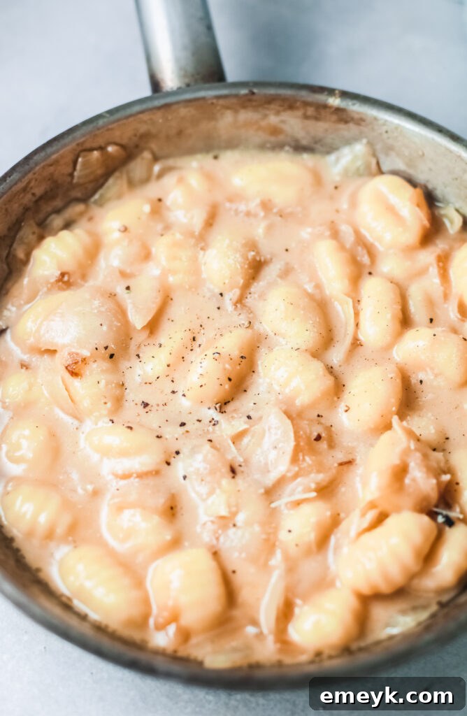 A serving of One Pot French Onion Gnocchi in a bowl, topped with melted mozzarella and grated Parmesan cheese.