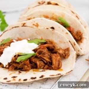 Instant Pot Carnitas Recipe 1200 x 1200