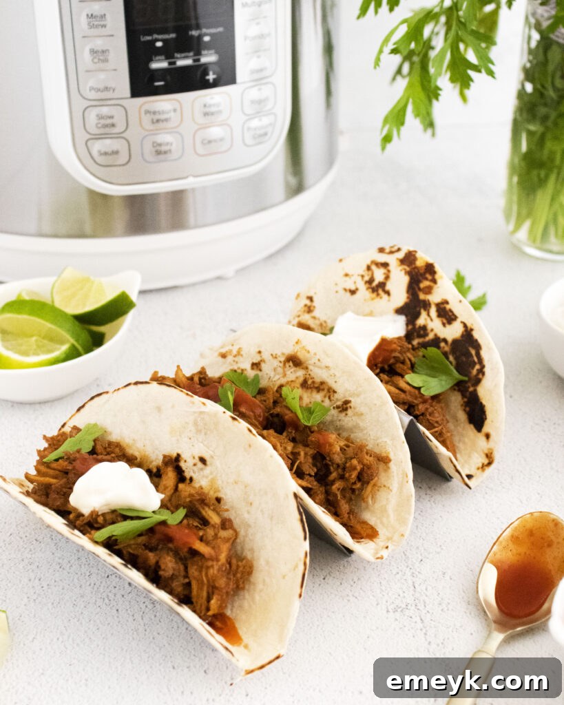 Instant Pot Carnitas ingredients arranged near an Instant Pot