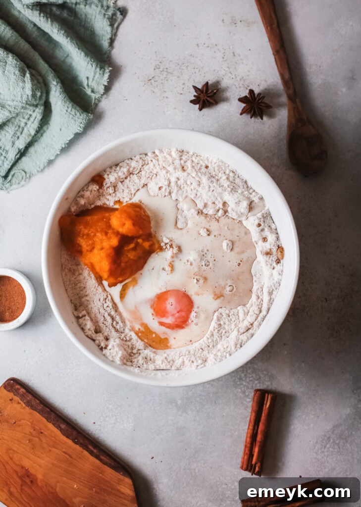 Pumpkin puree, vanilla extract, egg, milk, and oil added to the dry ingredients for Air Fryer Donut Holes.