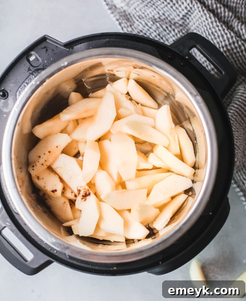 Apples, water, lemon juice, and cinnamon ready in the Instant Pot before pressure cooking.