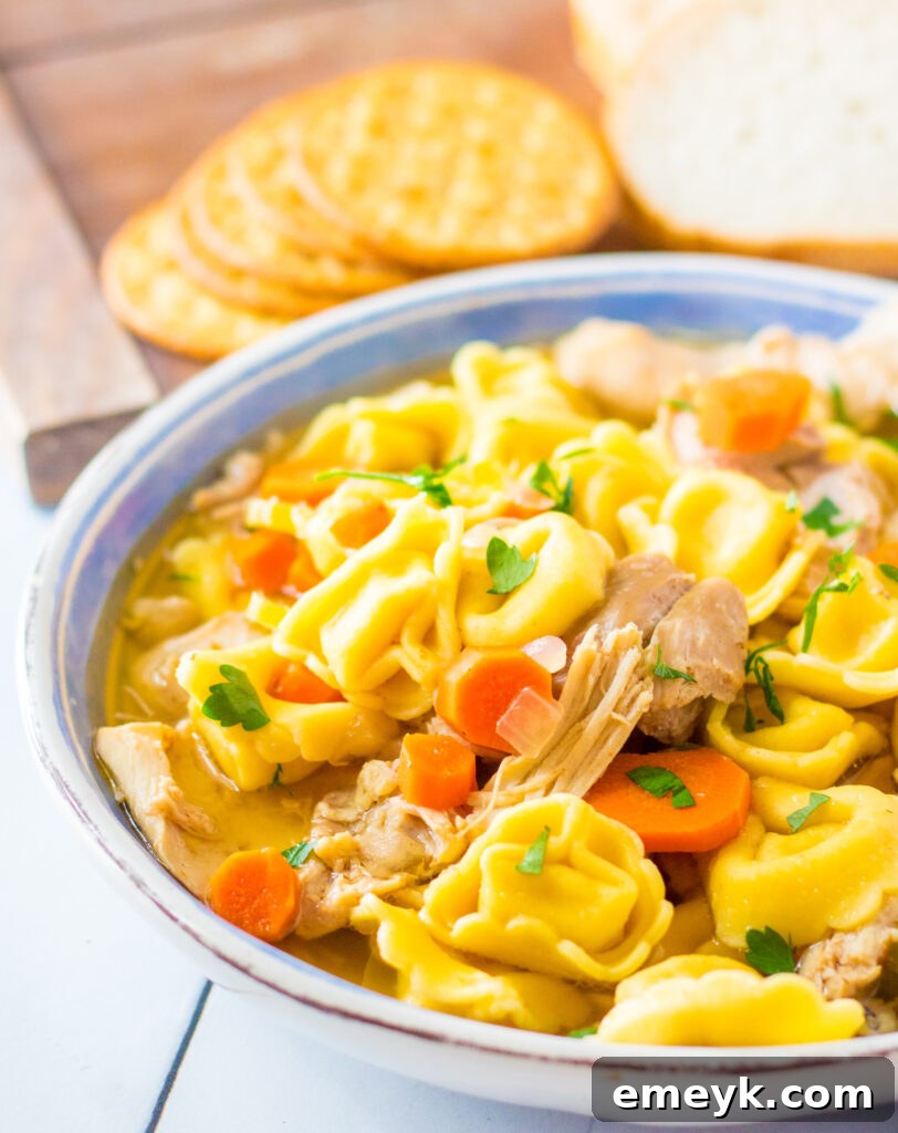 Comforting Chicken Tortellini Soup 2 A vibrant bowl of Chicken Tortellini Soup, garnished with fresh herbs, ready to be enjoyed.