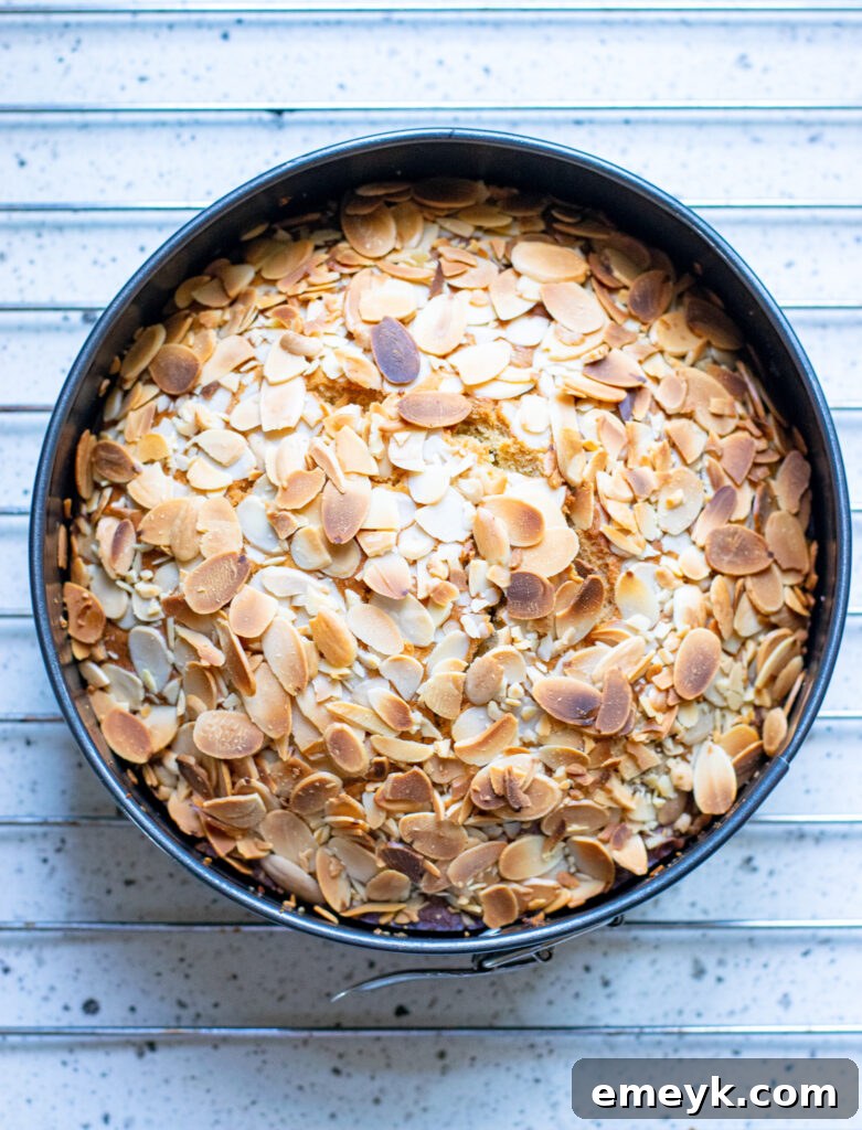 An overhead shot of the baked Honey Almond Cake in its pan, showcasing the evenly distributed, golden-brown slivered almonds covering the entire surface, ready to be cooled.