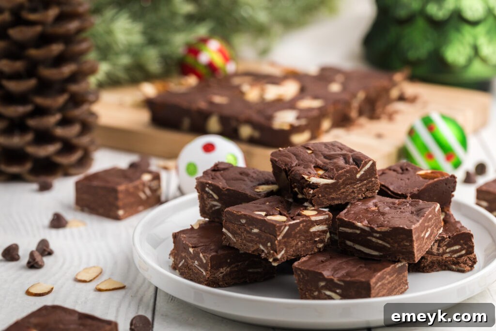 A close-up shot of delectable chocolate fudge squares on a pristine white plate.