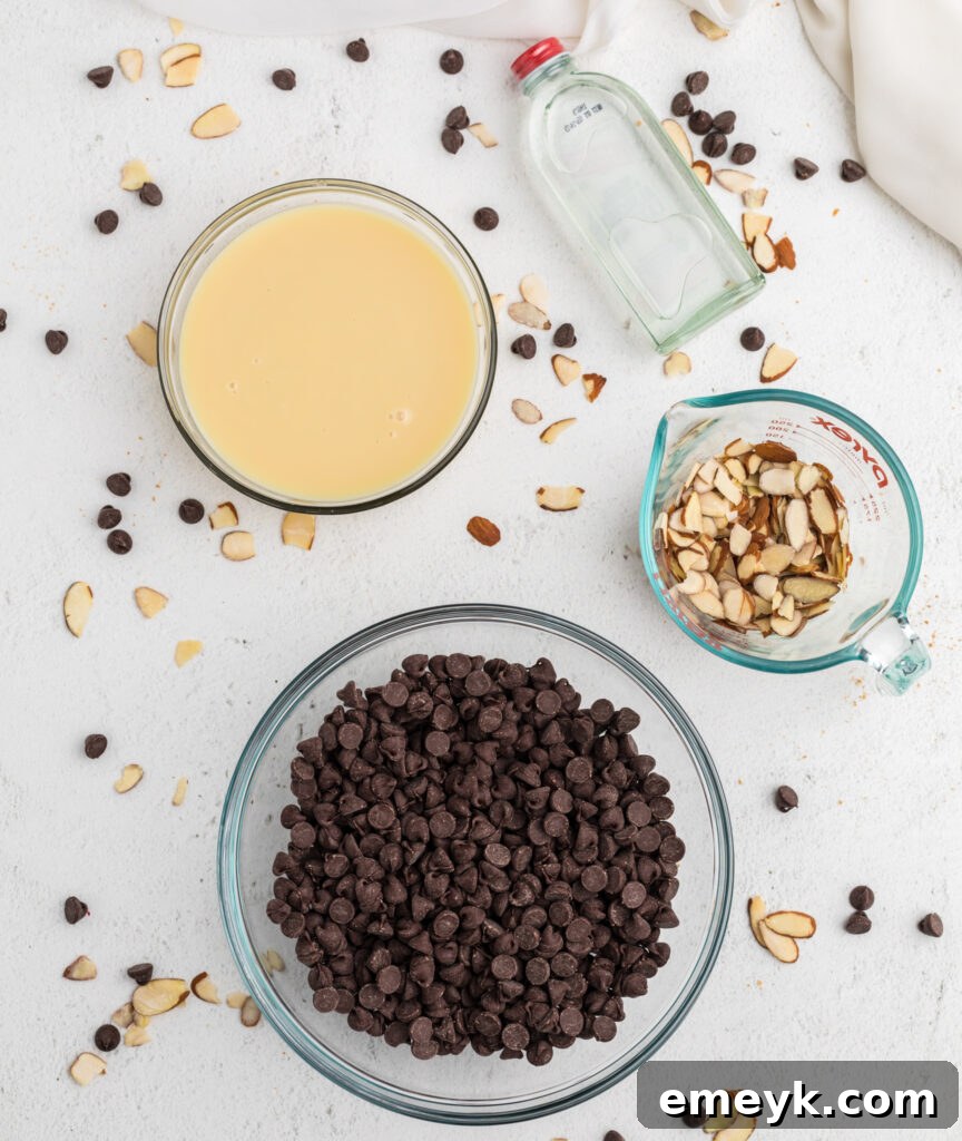 The four simple ingredients for Easy Chocolate Fudge laid out: chocolate chips, condensed milk, almond extract, and slivered almonds.