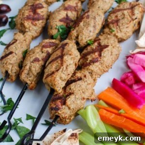Chicken Kofta 1200 x 1200