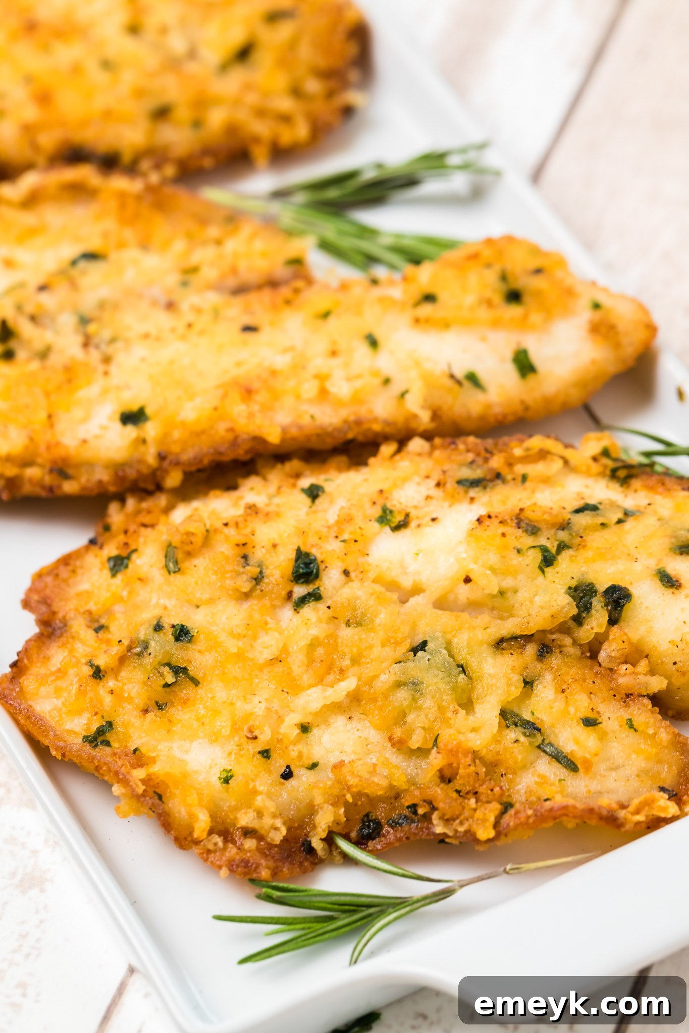Parmesan Crusted Tilapia garnished with fresh parsley, ready to serve.