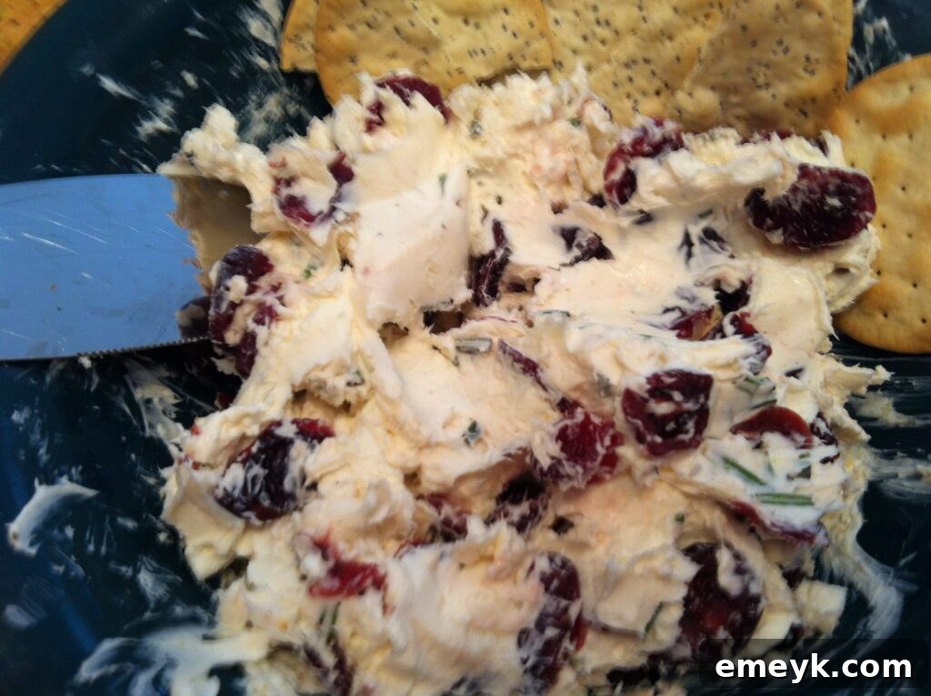 Close-up of the finished creamy Rosemary Cranberry Spread, ready to serve.