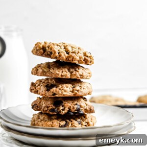 Banana Bliss Oatmeal Cookies 11 Homemade Banana Oatmeal Cookies