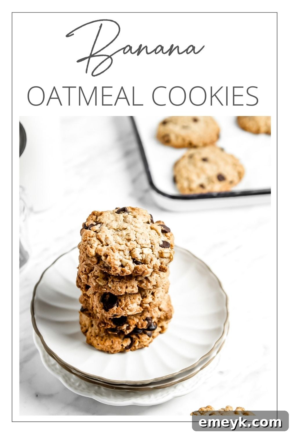 Banana Bliss Oatmeal Cookies 10 A beautiful arrangement of Homemade Banana Oatmeal Cookies with the brand logo, emphasizing their deliciousness and homemade quality.