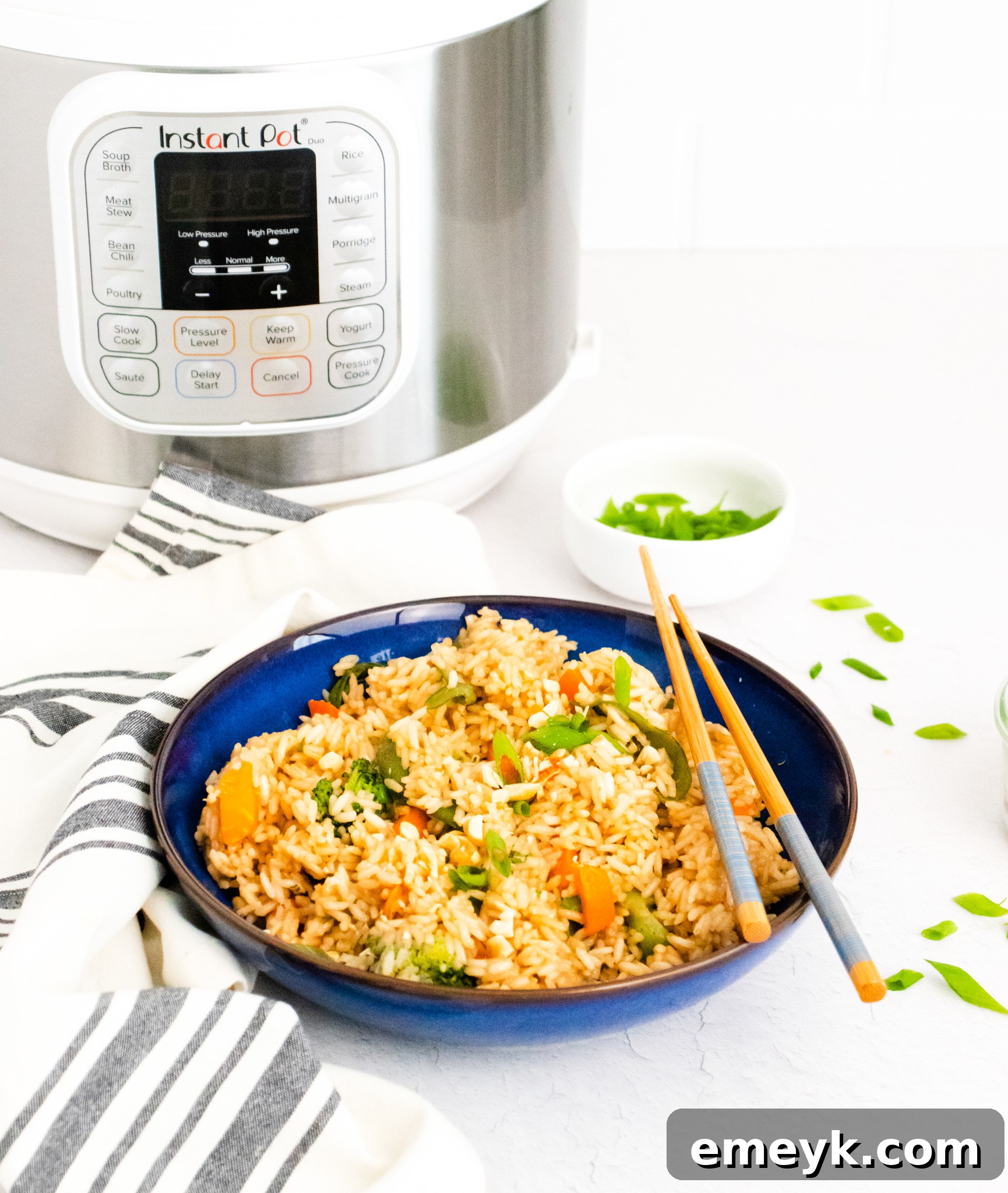 A bowl of Instant Pot Fried Rice with the Instant Pot itself visible in the soft-focus background.