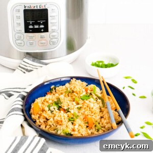 Instant Pot Fried Rice with Instant Pot in background.