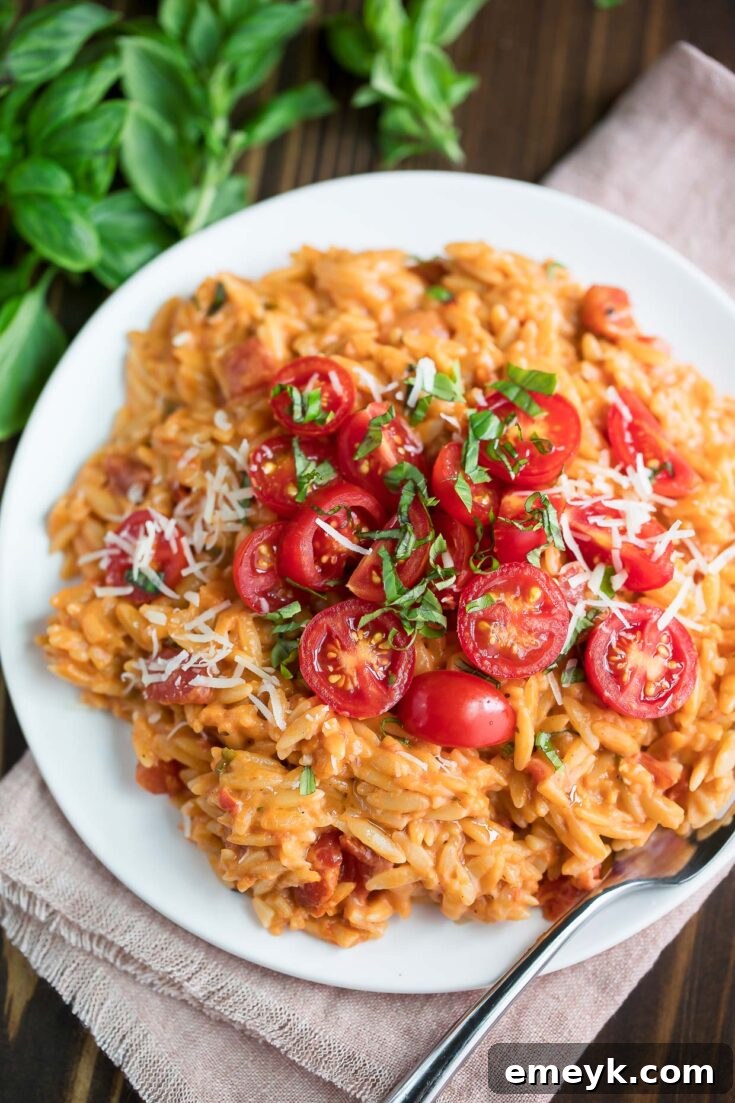 Creamy Tomato Orzo, a one-pot wonder ready in just 25 minutes.