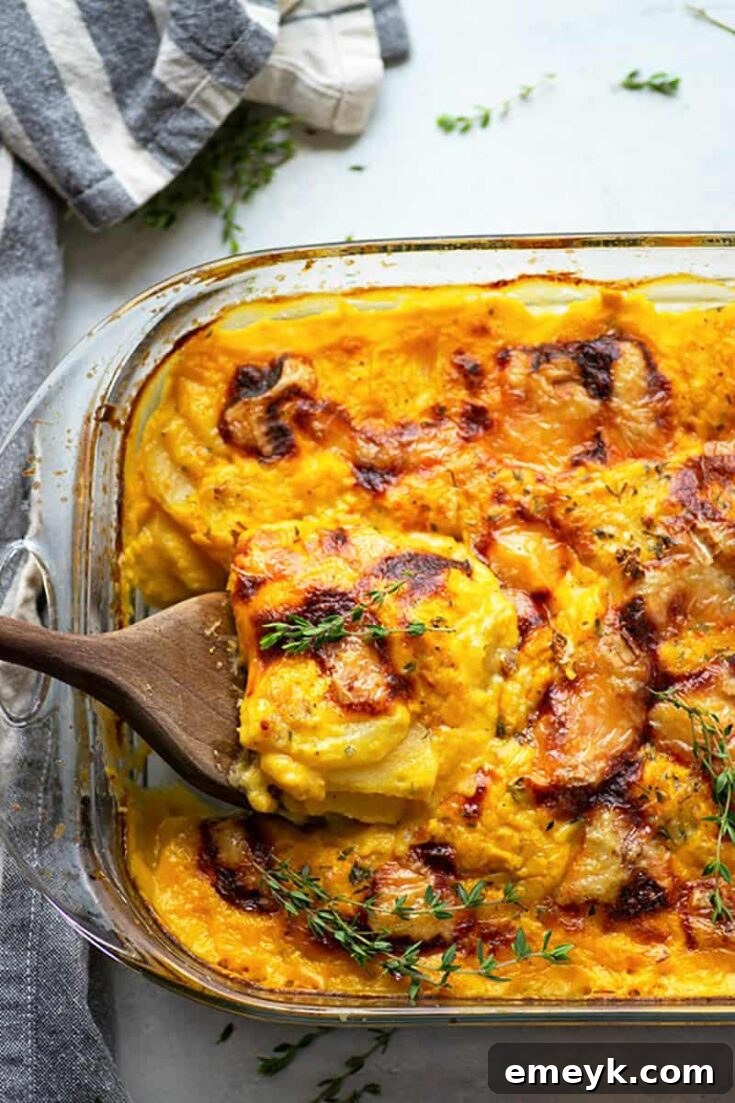 Comforting Roasted Garlic Butternut Squash Scalloped Potatoes with gooey brie cheese.