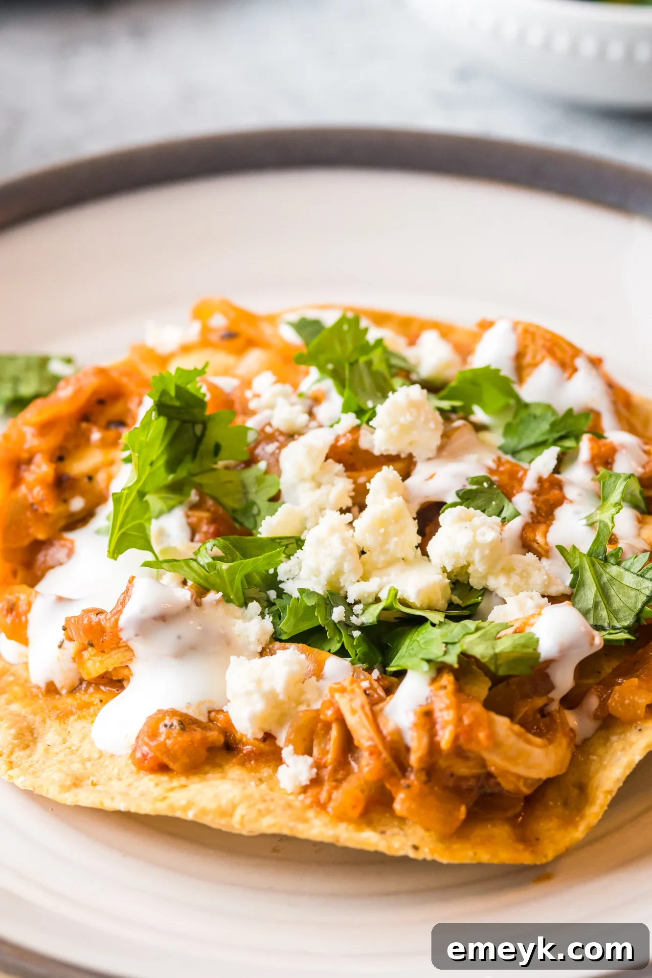 Delicious Chicken Tinga served with a dollop of sour cream and fresh cilantro, ready to be enjoyed.