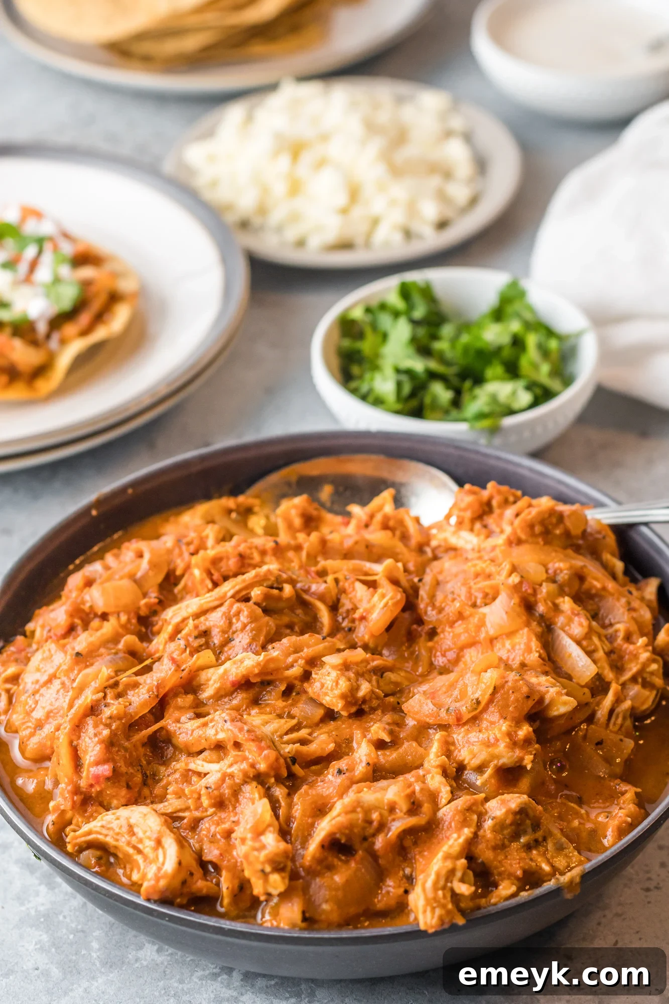 Close-up of a bowl of Chicken Tinga, garnished generously with fresh cilantro, highlighting its vibrant color and texture.