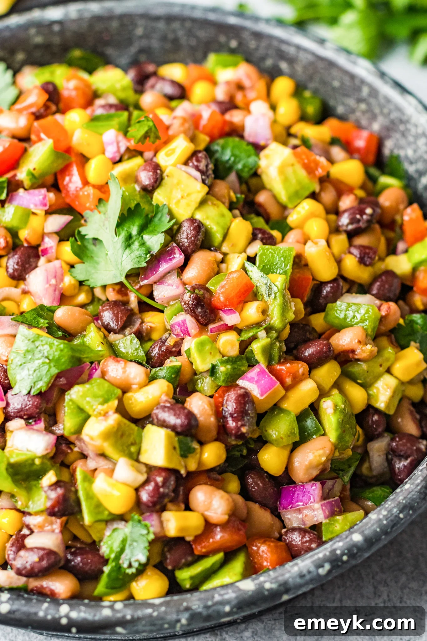 Zesty Cowboy Caviar Delight 5 A close-up of Cowboy Caviar in a serving bowl, garnished with a sprig of cilantro.