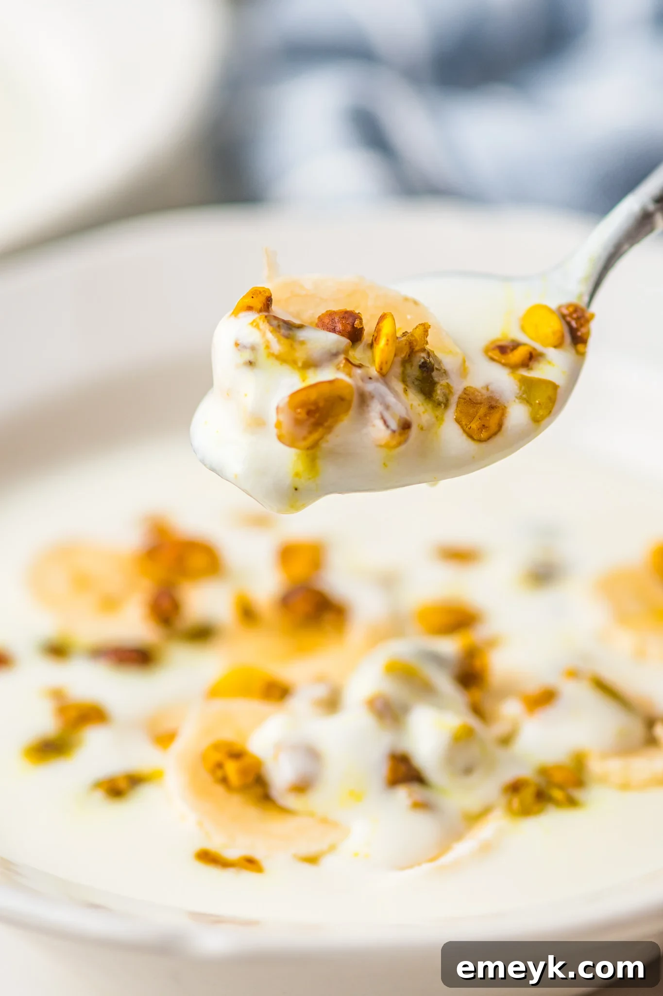 Creamy homemade Instant Pot Yogurt in a bowl with a spoon, ready to be enjoyed.