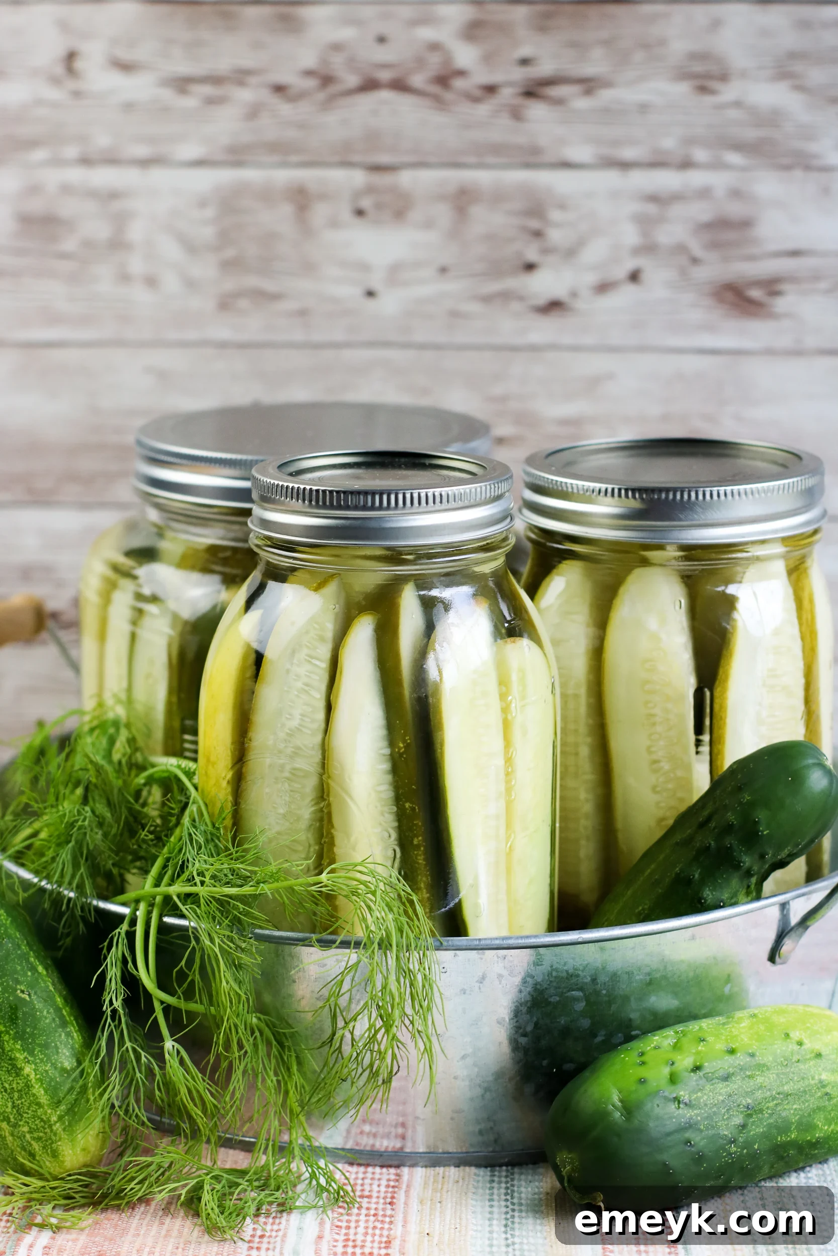 Refrigerator Dill Pickles in a jar, showcasing their fresh appeal.