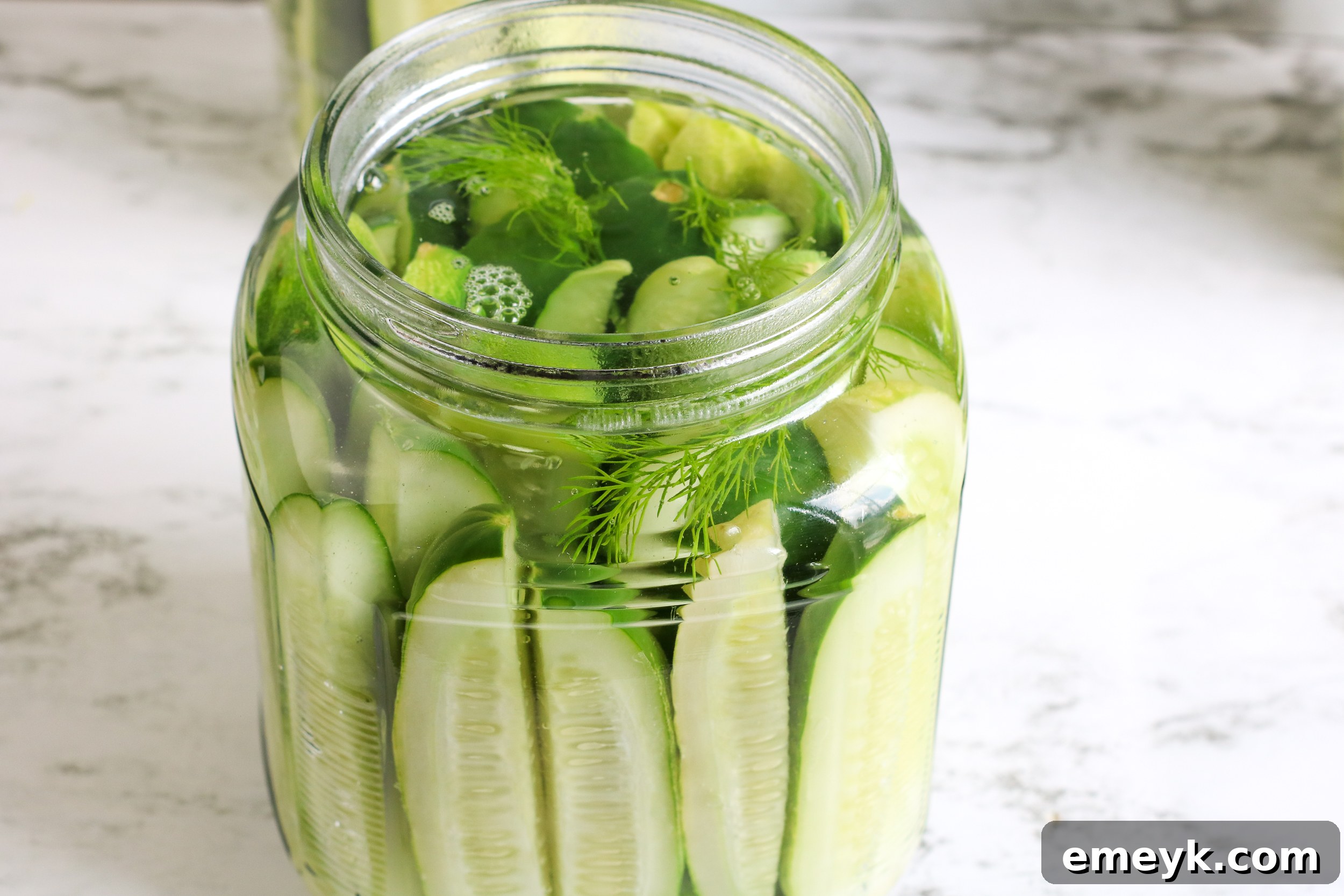 Multiple jars of Refrigerator Dill Pickles, perfectly packed with cucumbers and brine.