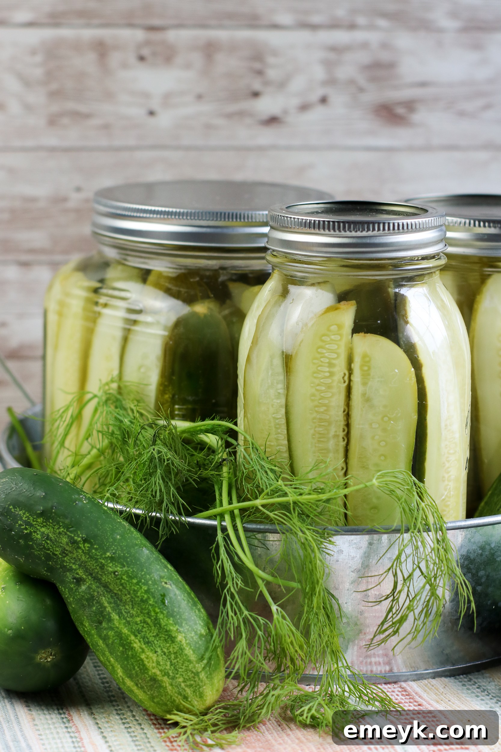 Single jar of Refrigerator Dill Pickles with fresh dill sprigs, ready to be enjoyed.