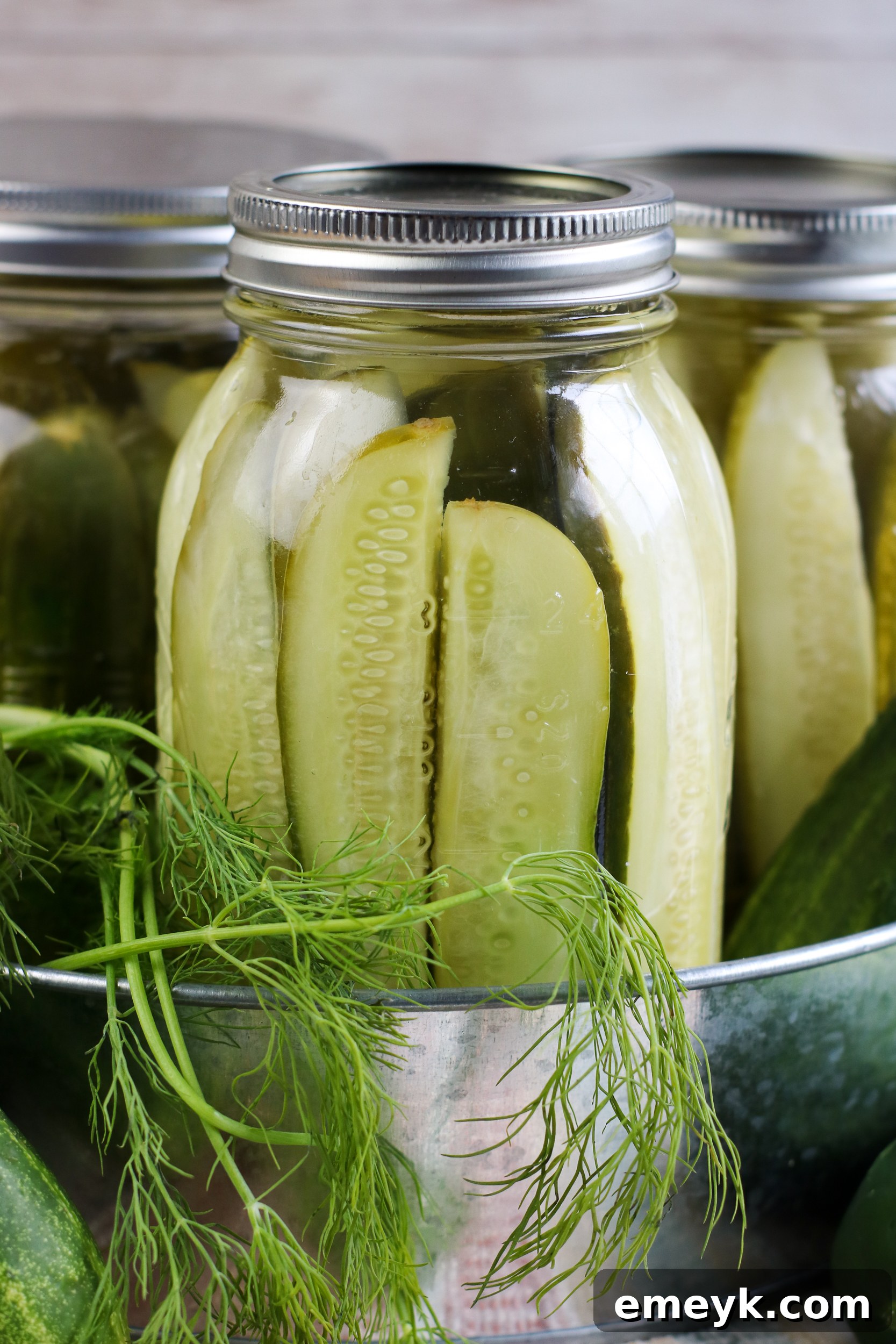Assortment of Refrigerator Dill Pickles in various jars, ready for storage.