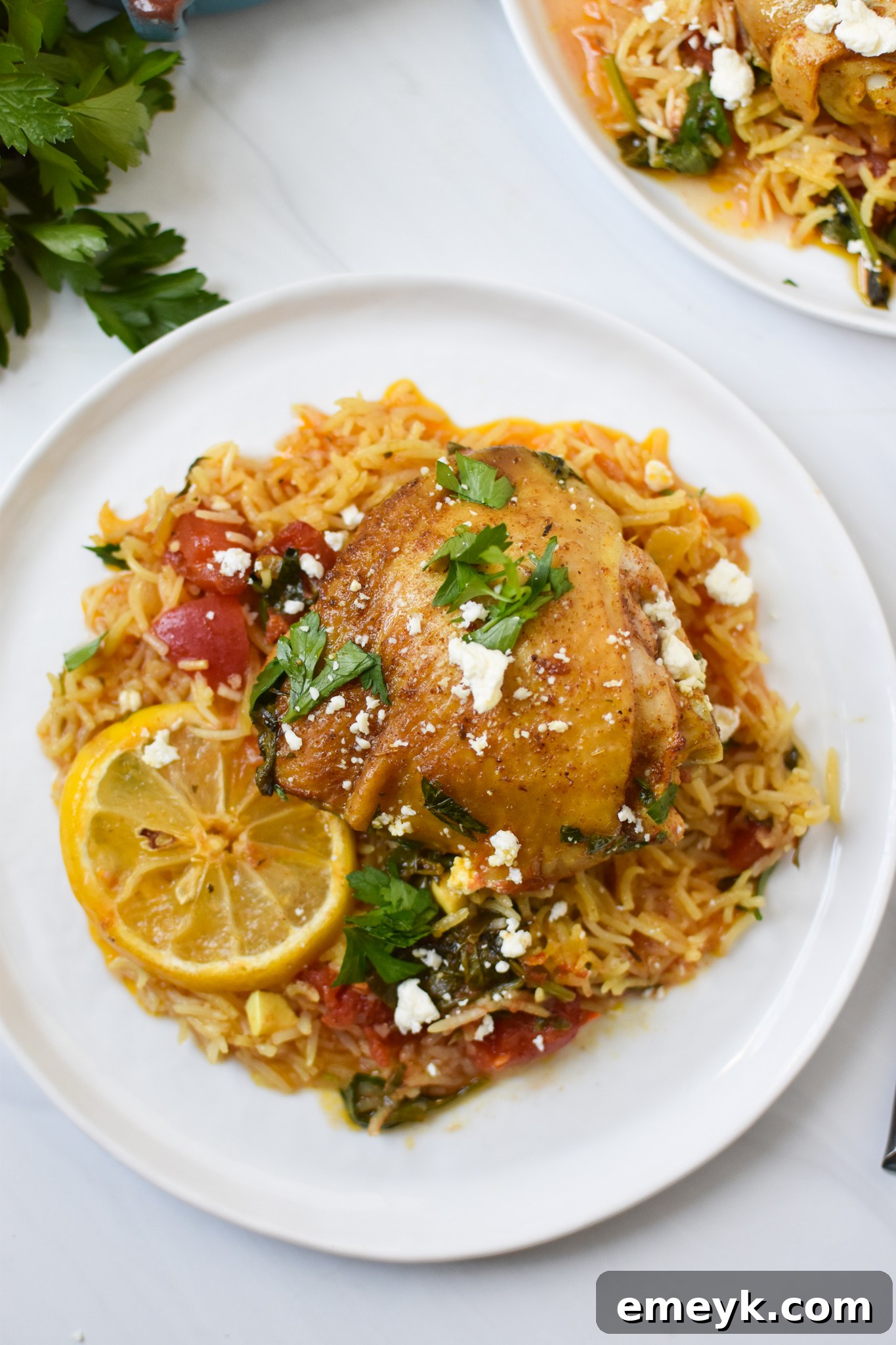 A single serving of One Pot Mediterranean Chicken and Rice presented on a white plate, garnished with fresh herbs and a lemon wedge.