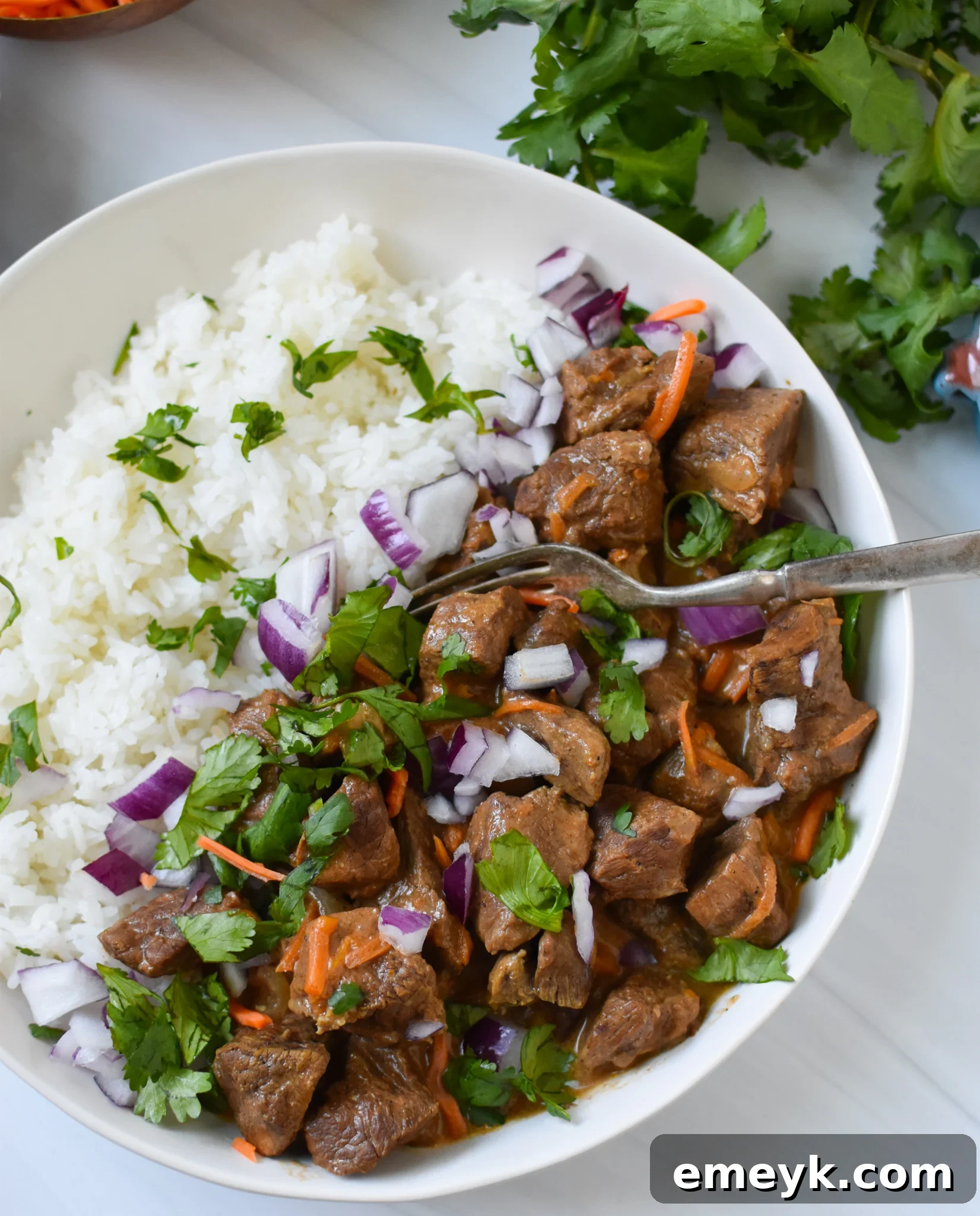 Hearty Slow Cooker Beef Curry with tender carrots and fresh cilantro garnish, served in a bowl.