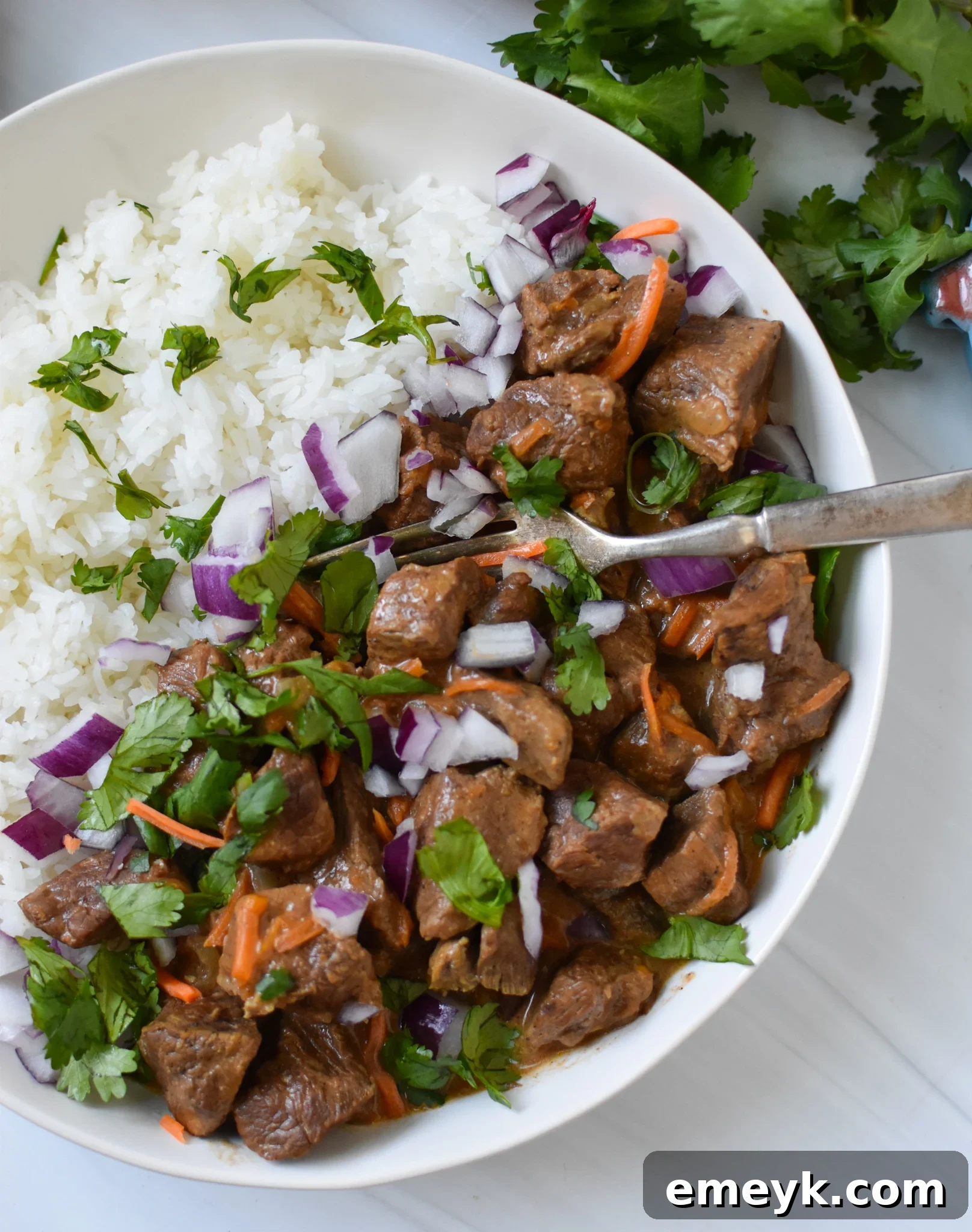 Close-up of Slow Cooker Beef Curry being served with a fork, showing tender beef chunks and rich sauce.