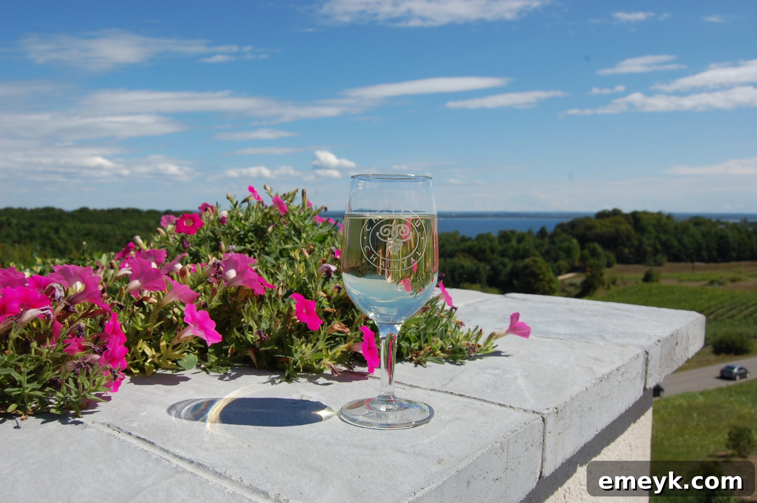 Panoramic vineyard and bay view from Chateau Chantal