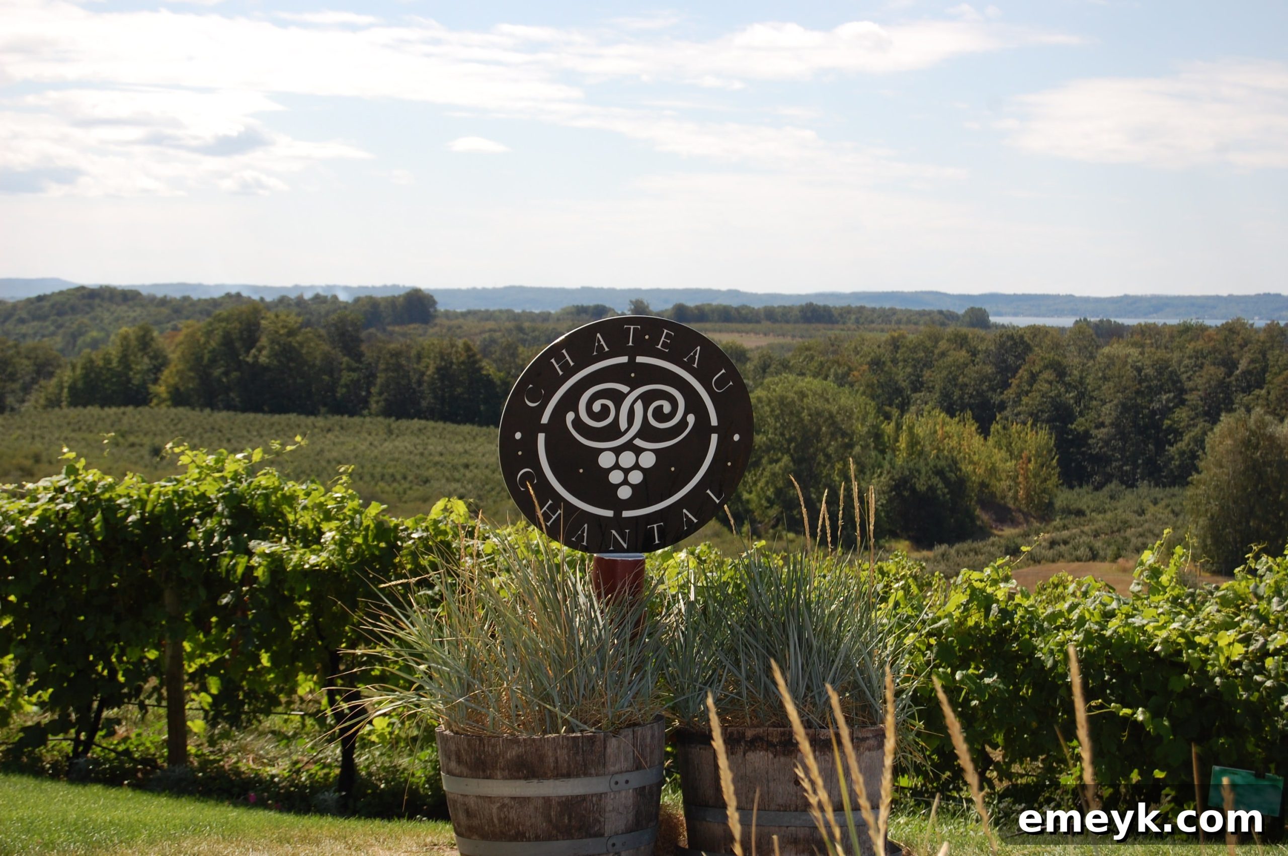 Vineyards stretching towards the bay from Chateau Chantal
