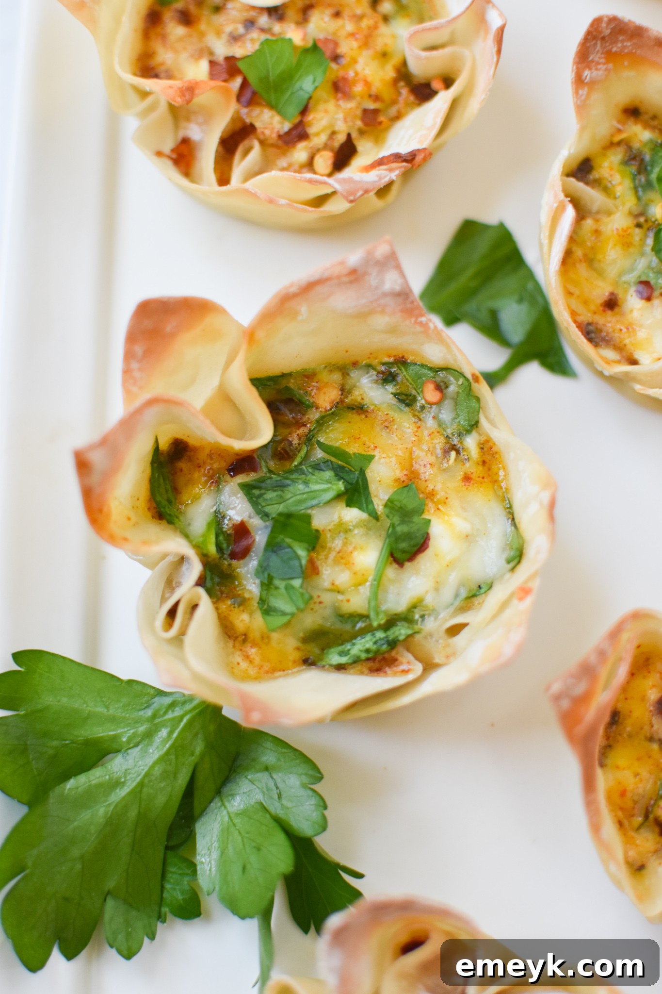 Mediterranean Quiche Pockets 2 Platter of golden Mediterranean Quiche Wontons, garnished with fresh parsley.