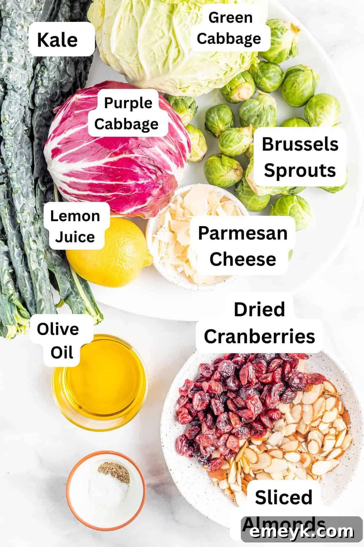 Vibrant Kale Crunch 3 Crunchy Kale Slaw recipe ingredients