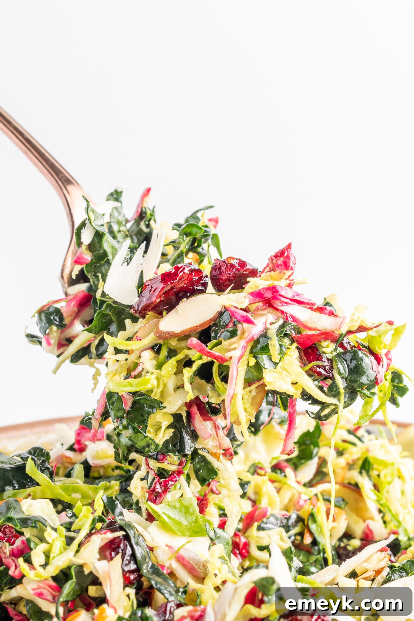 Vibrant Kale Crunch 4 Winter Coleslaw Salad with a fork.