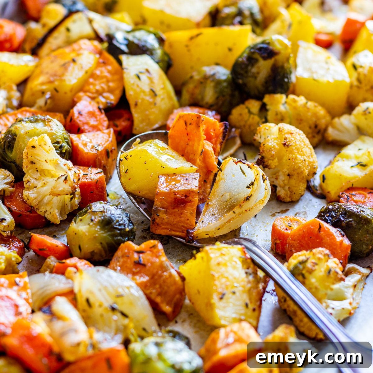 A rustic spread of assorted Roasted Fall Vegetables, including tender carrots, vibrant Brussels sprouts, and sweet potatoes, roasted to caramelized perfection.