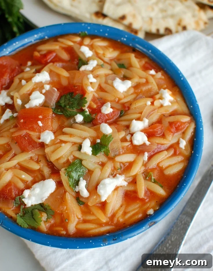 A rustic skillet filled with One Pot Creamy Tomato Herb Orzo, garnished with fresh basil leaves, highlighting its comforting and aromatic qualities.