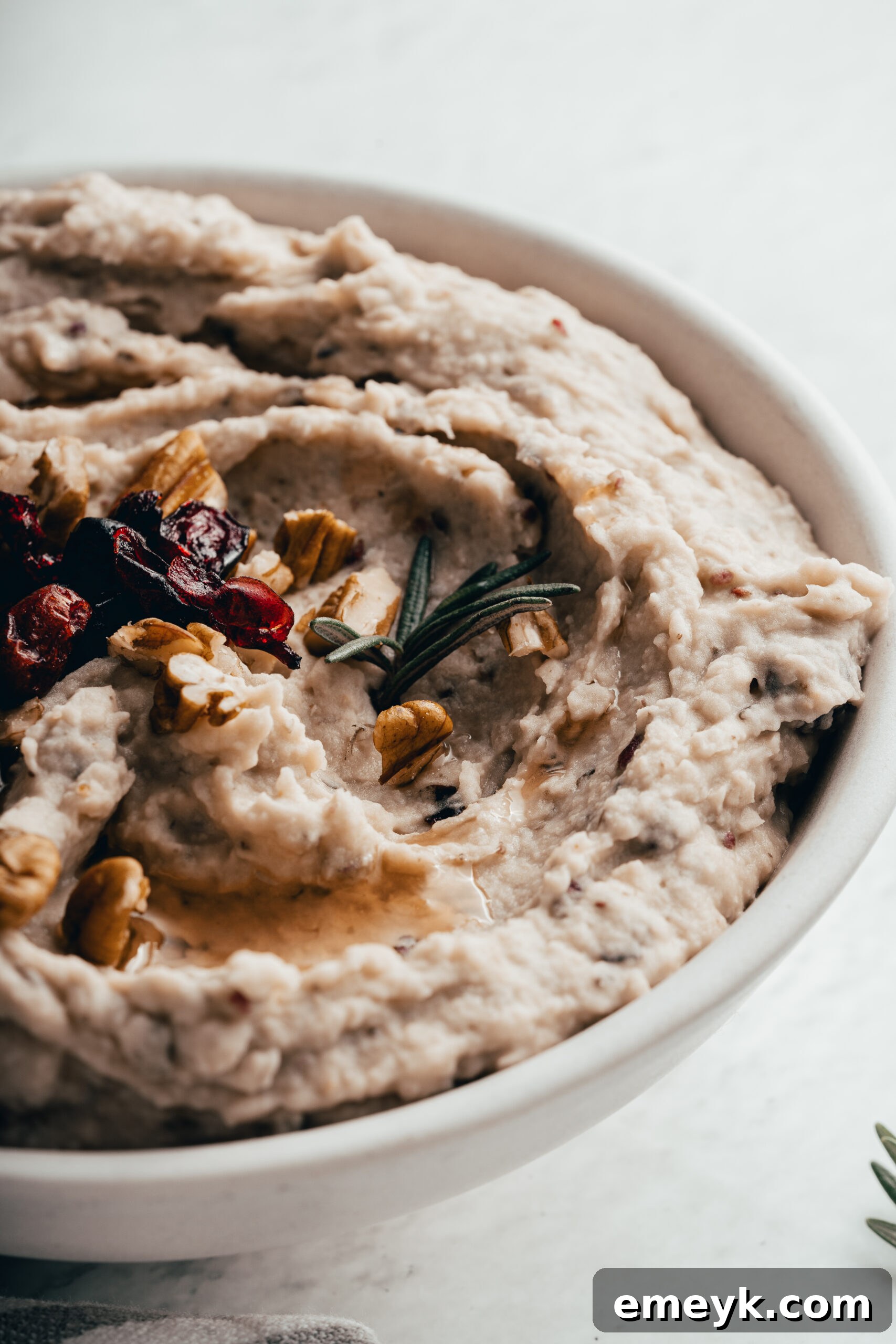 A close-up shot of White Bean Hummus with Cranberry, garnished with fresh rosemary and a scattering of dried cranberries, highlighting its rich texture and vibrant colors.