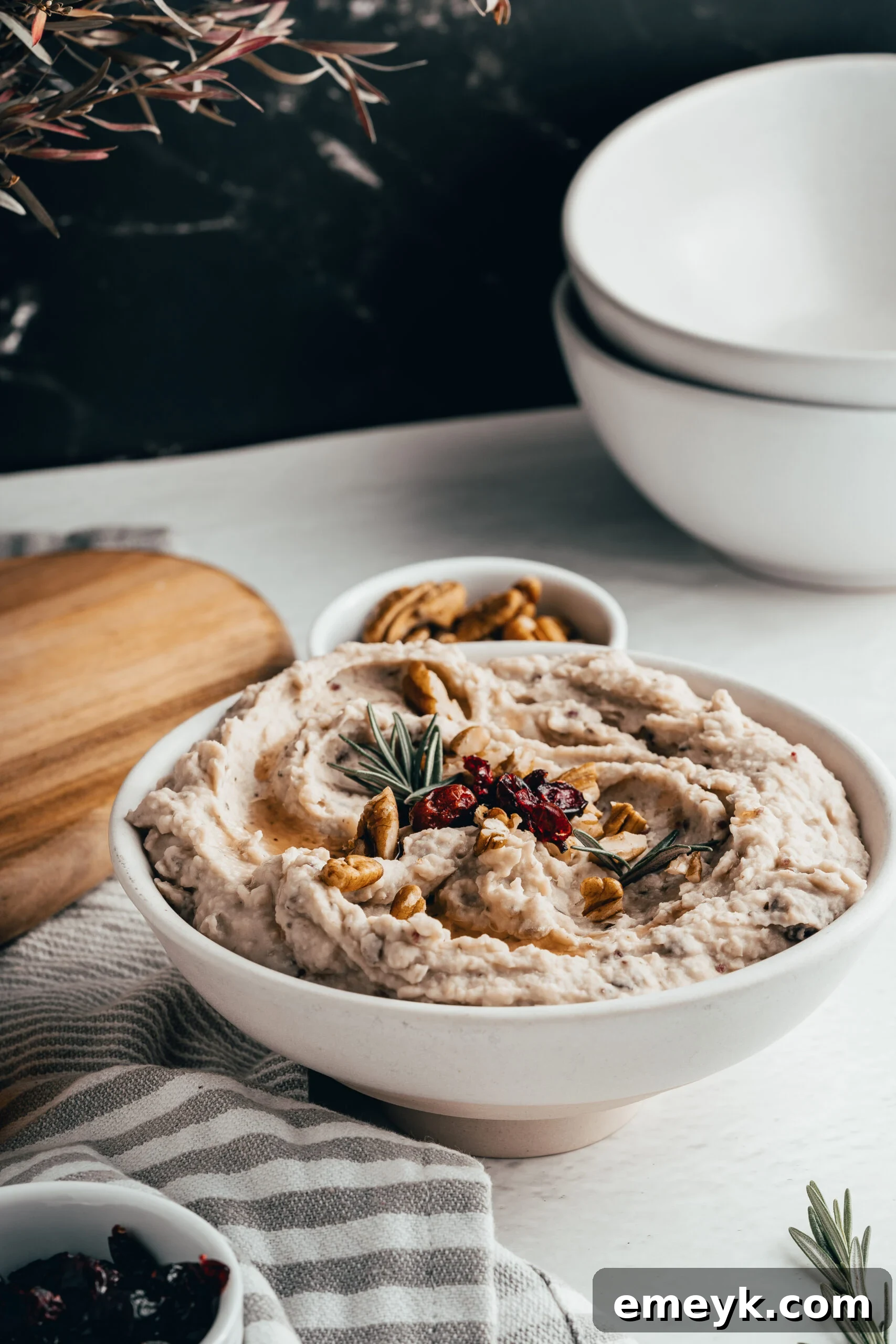 A serving of creamy White Bean Hummus with Cranberry and orange, in a pristine white bowl, garnished simply with a few dried cranberries, showcasing its elegant simplicity.