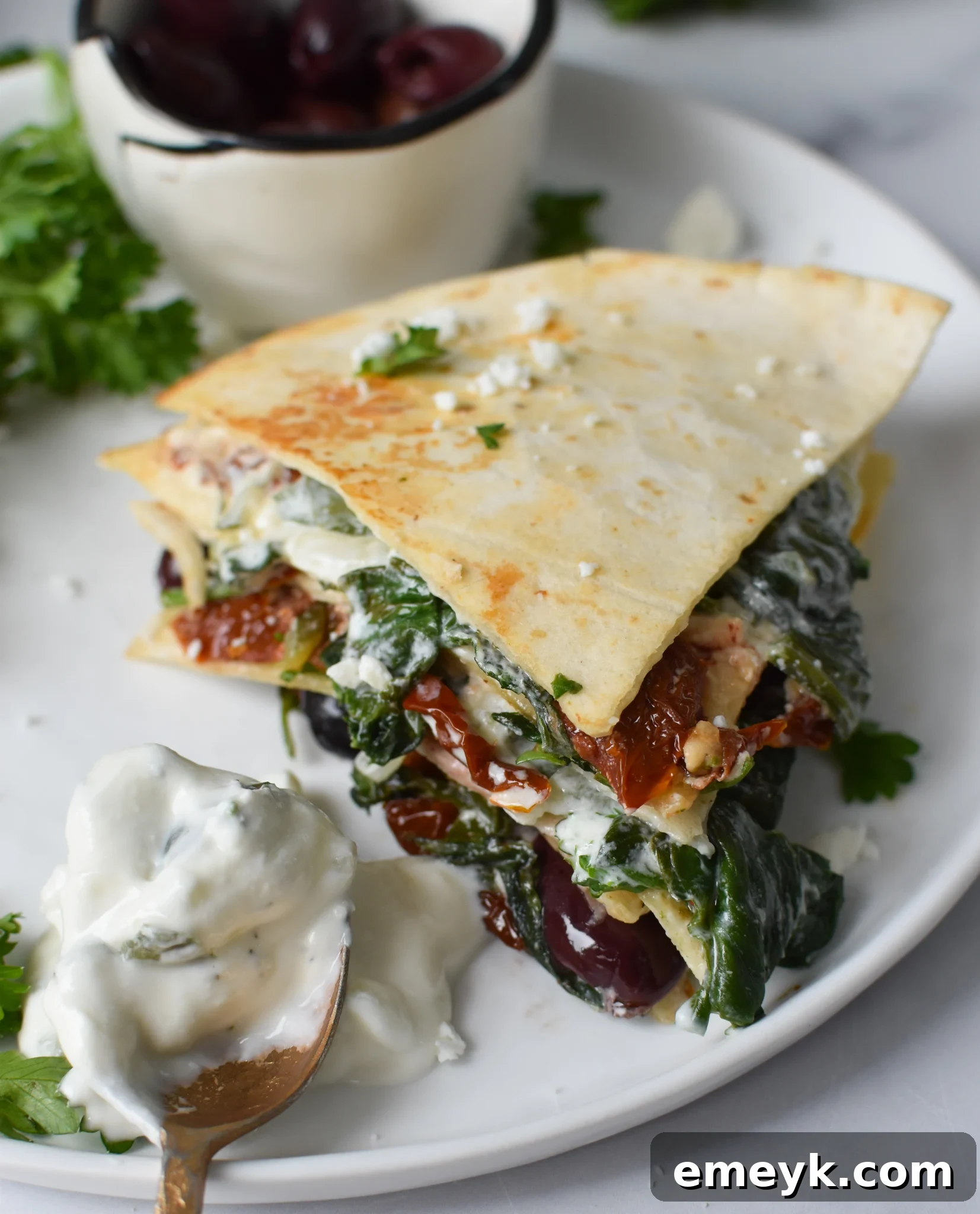 Simple Veggie Quesadillas 2 Delicious Easy Vegetarian Quesadilla Recipe with tzatziki sauce served on a rustic plate.