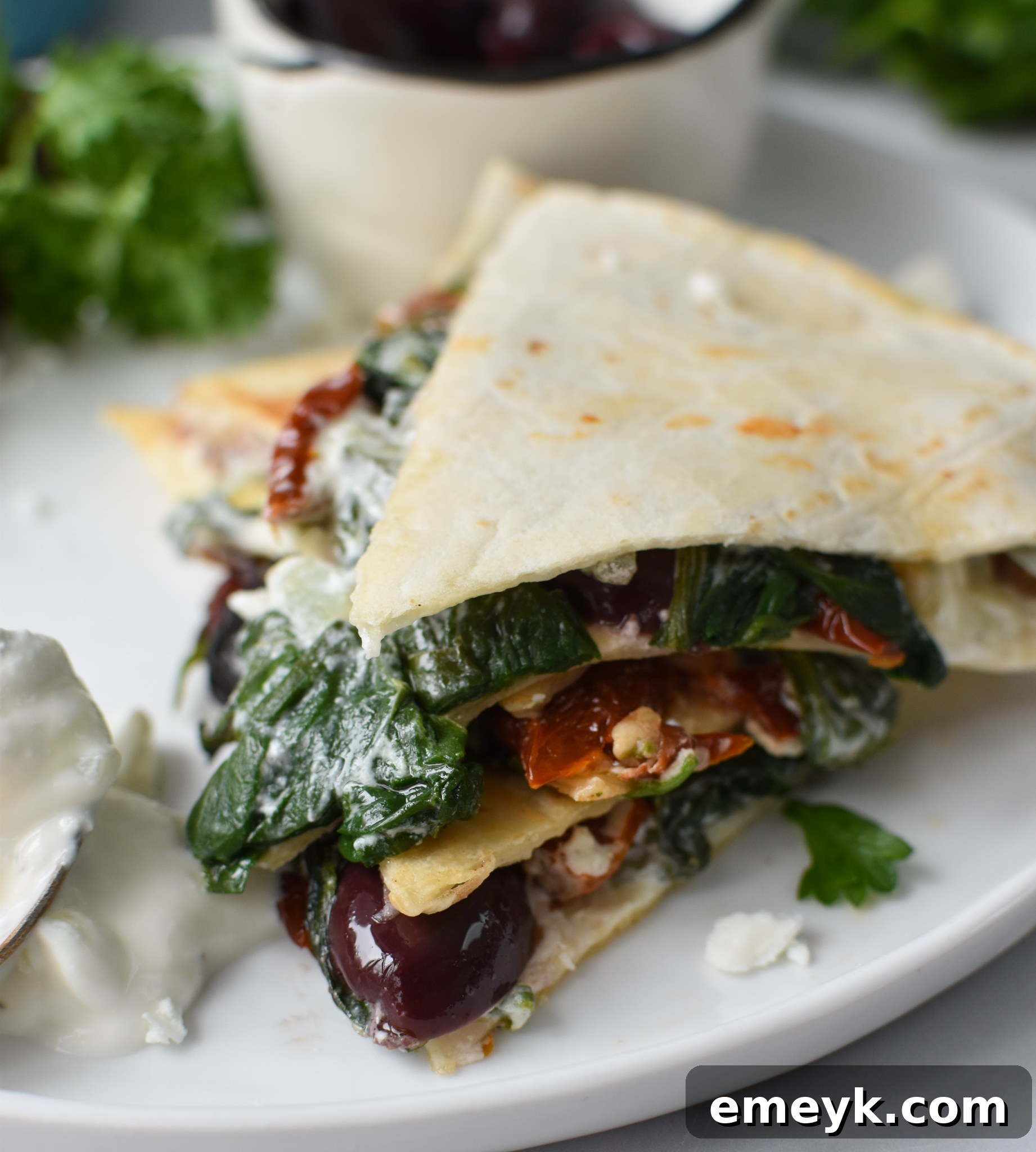 Simple Veggie Quesadillas 4 Easy Vegetarian Quesadilla Recipe plated beautifully on a white ceramic dish, ready to serve.
