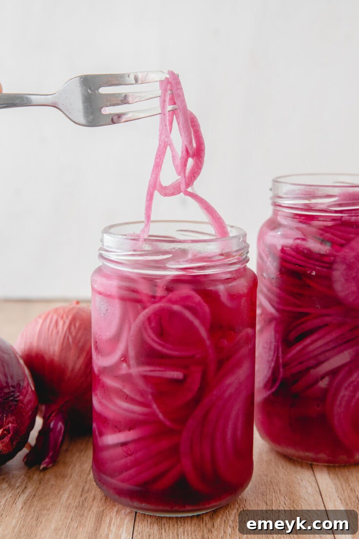 Quick Pickled Red Onions