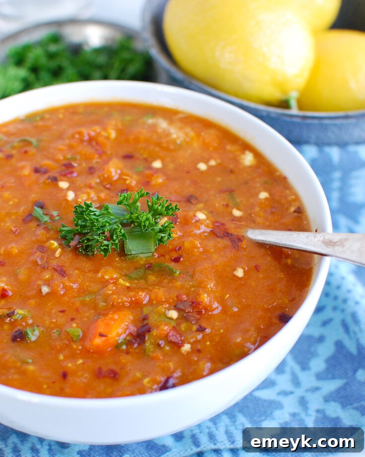 Slow Cooker Lentil Soup