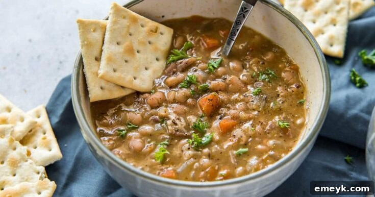 Instant Pot Navy Bean Soup