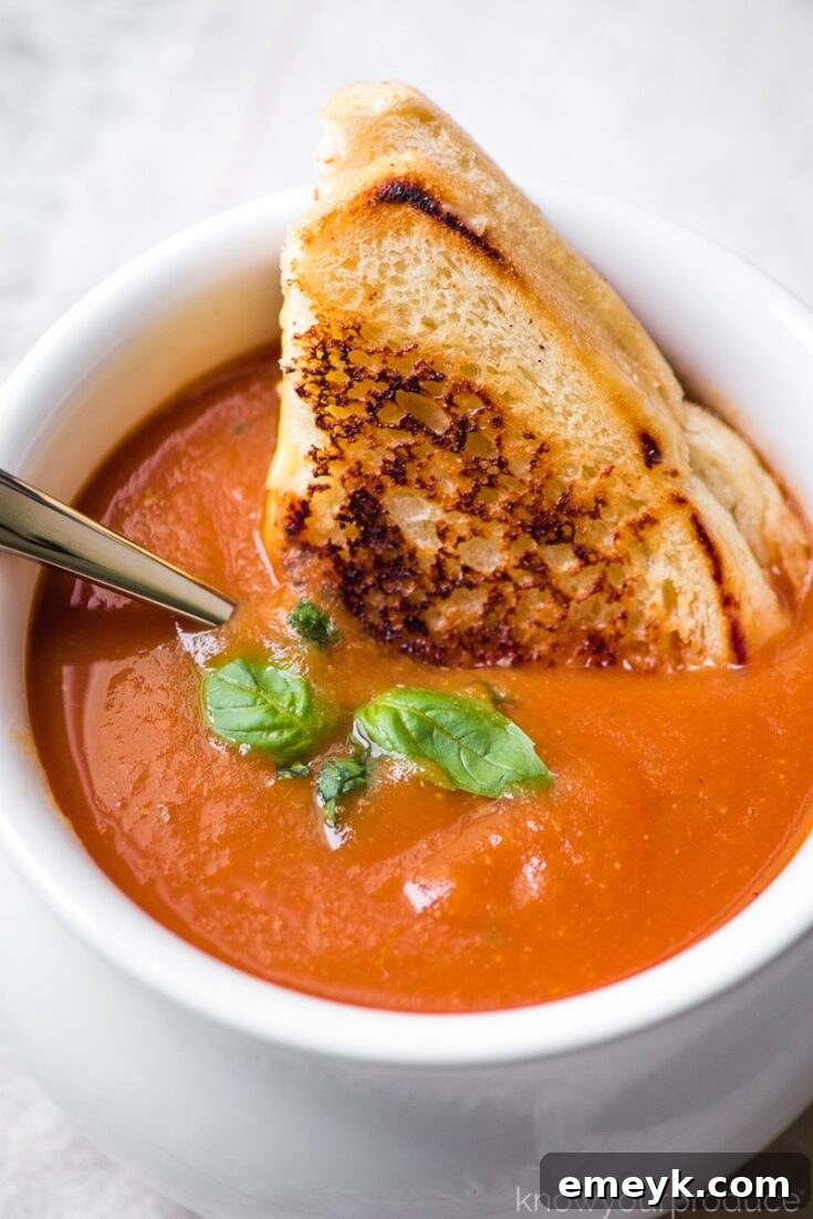 Fresh Tomato Soup with Roasted Tomatoes