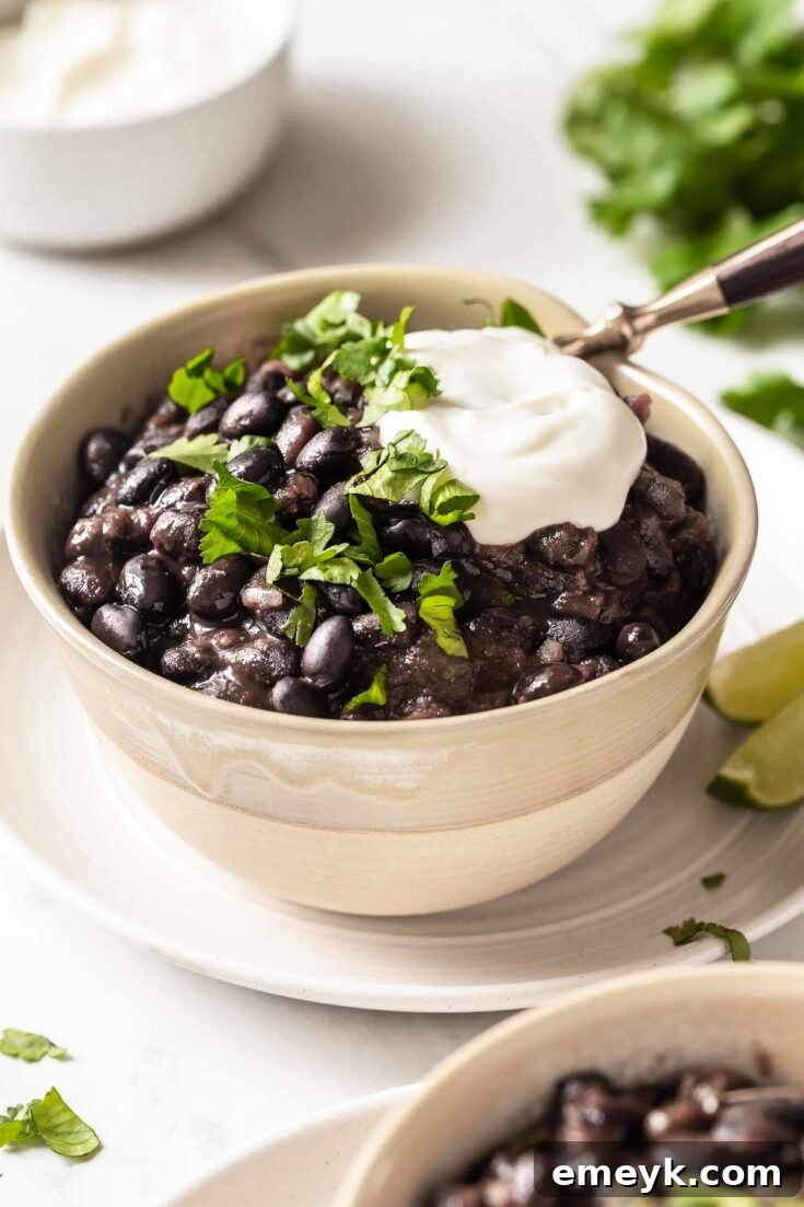 Black Bean Soup