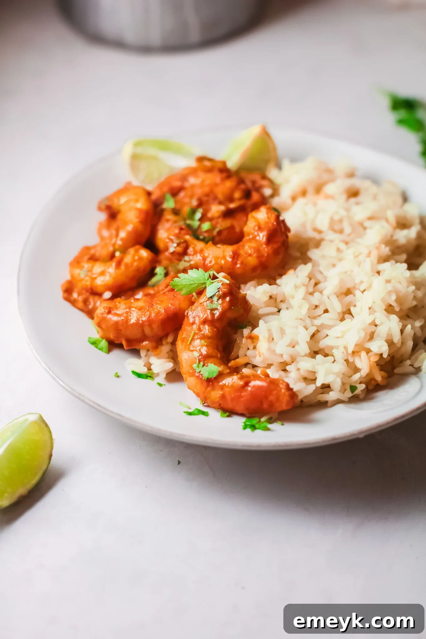 Weeknight Shrimp Curry 4 Easy Shrimp Curry Recipe garnished with fresh cilantro.